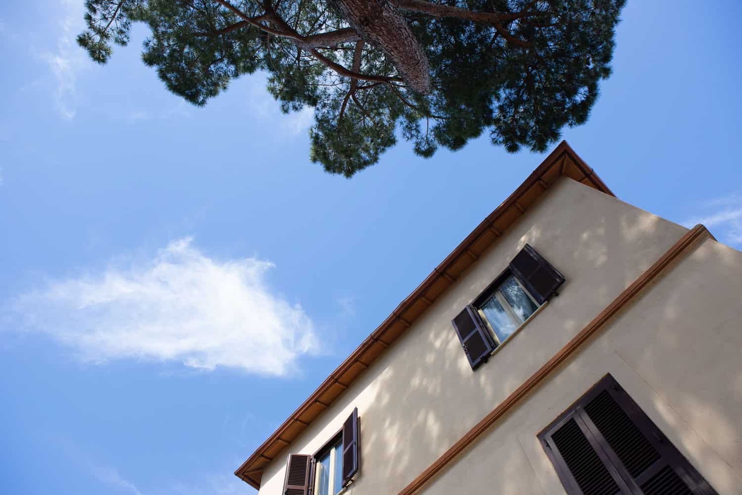 Particolare foto - Roma Renzi 01