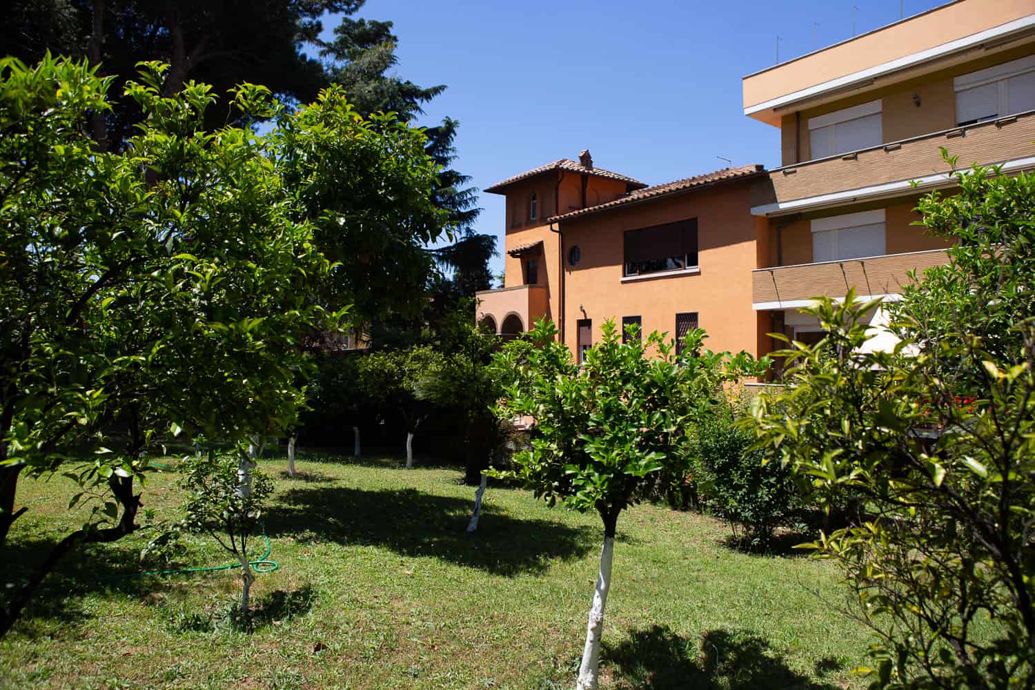 Particolare foto - Roma Romitello 06