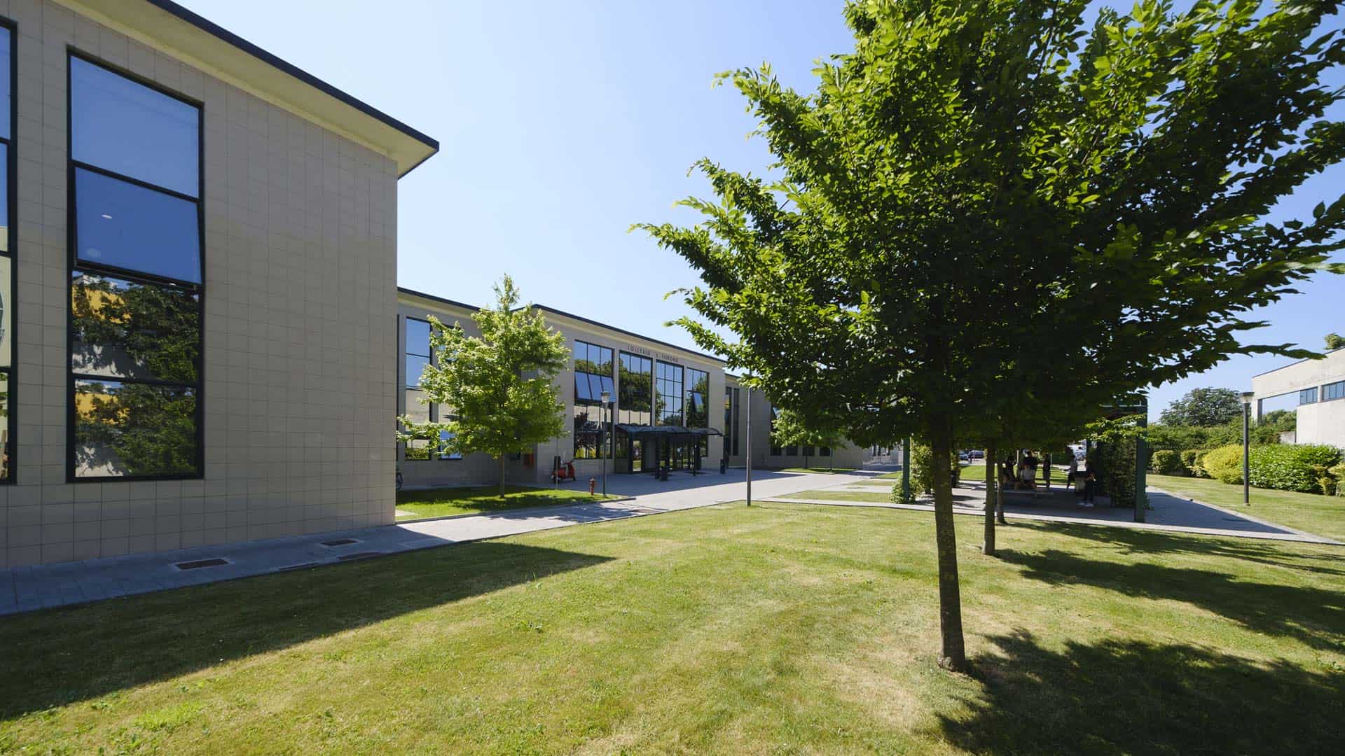 Collegi in Campus